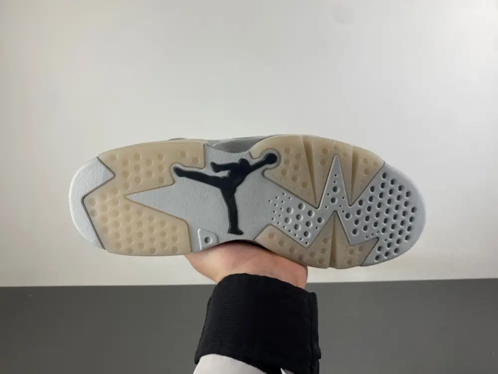 Air Jordan 6 