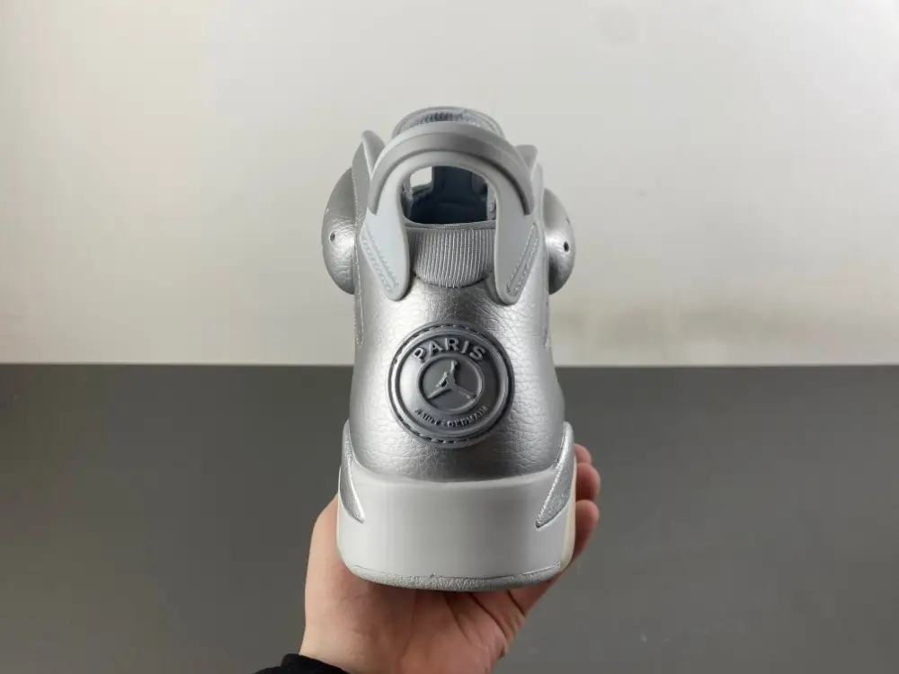 Air Jordan 6 