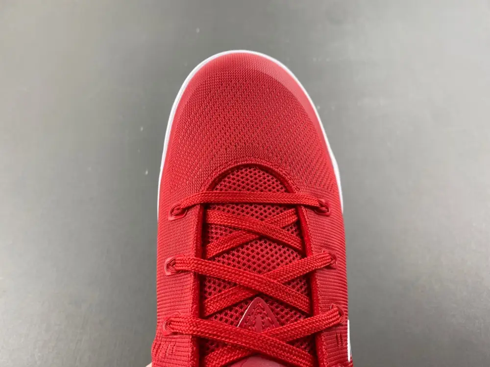 Nike Kobe 9 EM Low Protro 