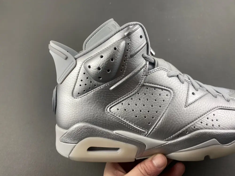 Air Jordan 6 
