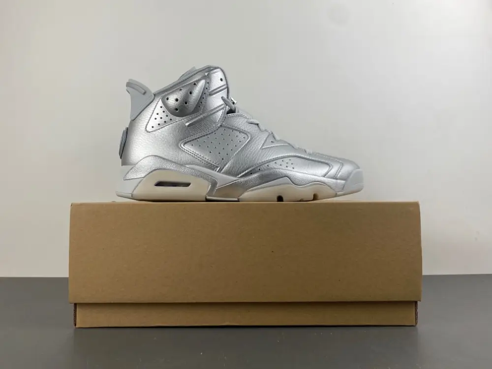Air Jordan 6 